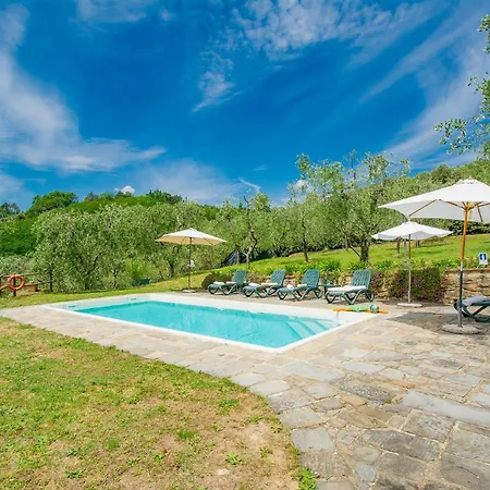 Lovely In Buggiano With Kitchen *